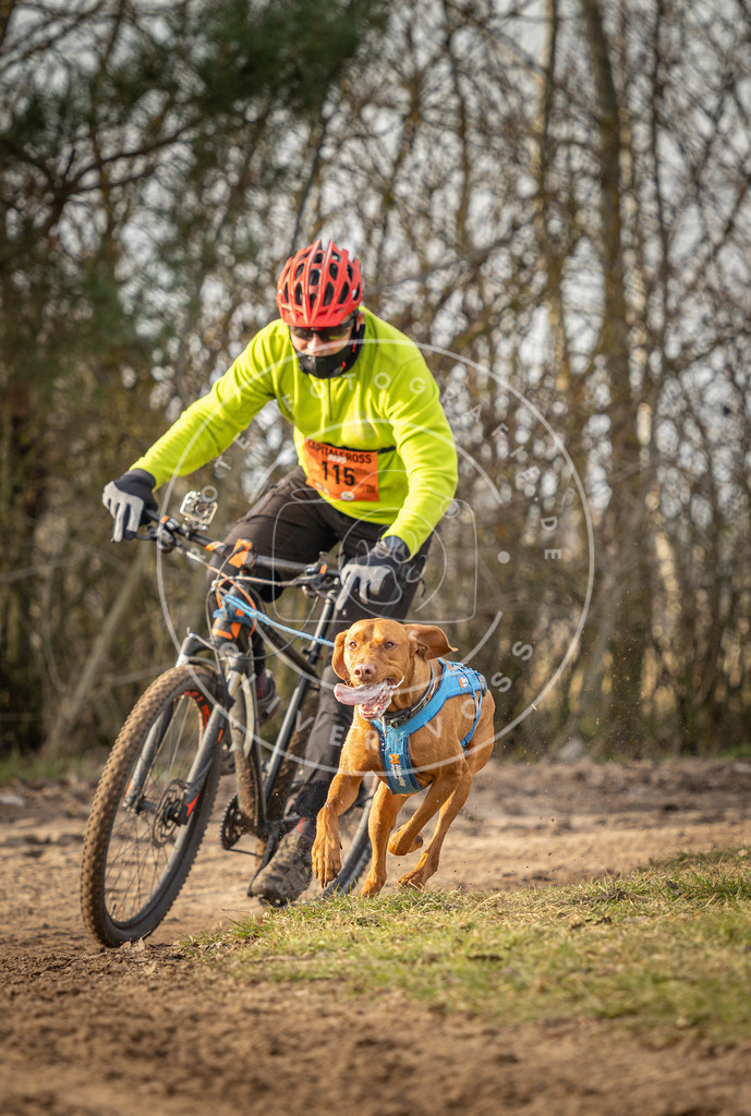 Pfotenfotografie_DV3A8461 | Hundefotografie, Tierfotograf, Pfotenfotografie, Fotoshooting Hund, Hunde Portrait, Hundesport, Hundeportraits, Heideshooting, Hunde, Sportfotograf, Hundefotograf, Turnierhundsport, THS,  - Realisiert mit Pictrs.com