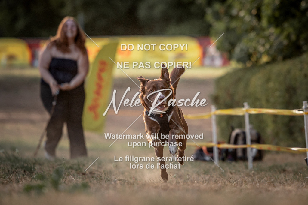 nelerasche_SummerNights26_SoPawSprint_131 | nelerasche