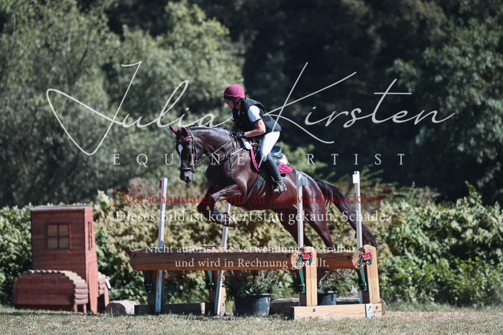 DSC_8548 | Pferde- und Turnierfotografie in Westsachsen. Pferdeportraits, Auftragszeichnungen und intuitive Kunst.