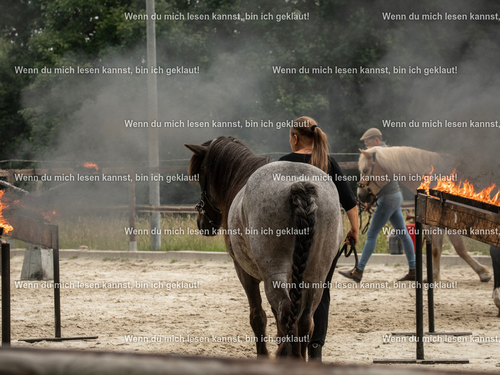 598A7002 | photographylinaismer - Realisiert mit Pictrs.com