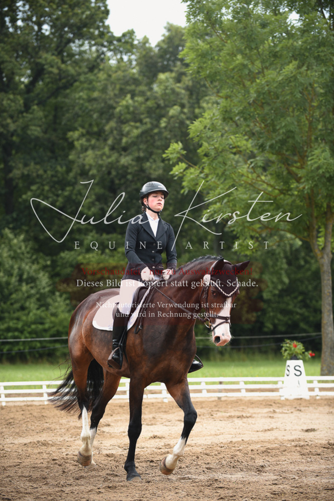 DSC_0249 | Pferde- und Turnierfotografie in Westsachsen. Pferdeportraits, Auftragszeichnungen und intuitive Kunst.