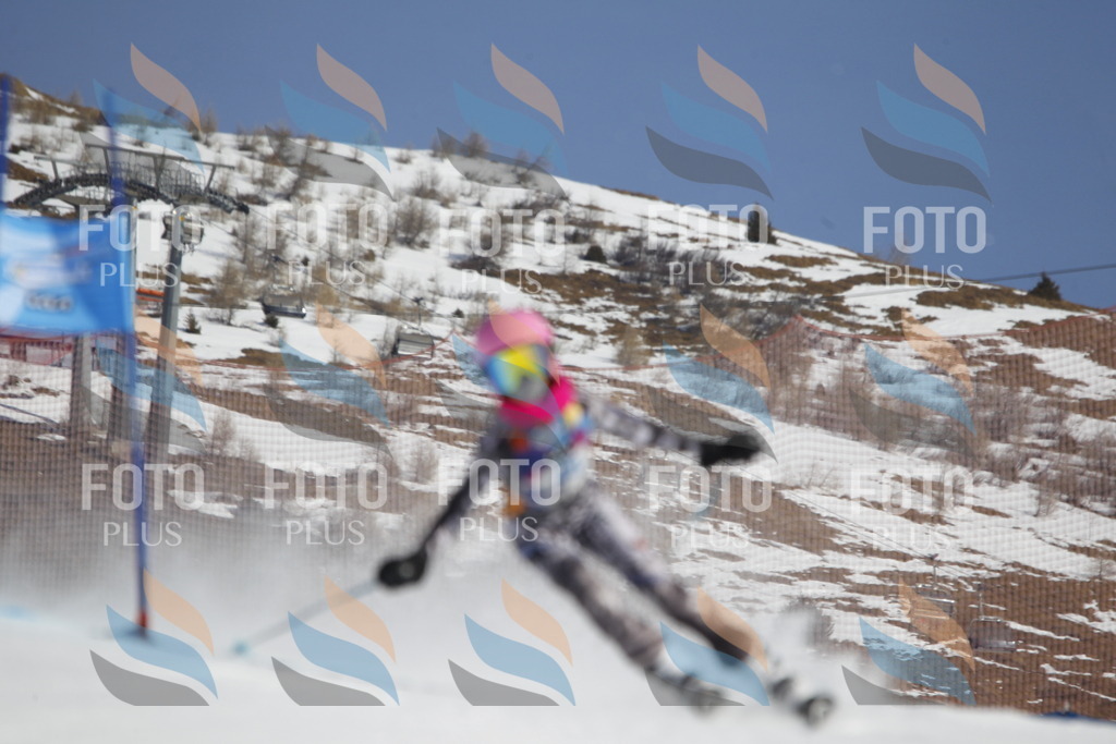 _U3G9361 | holidayphoto