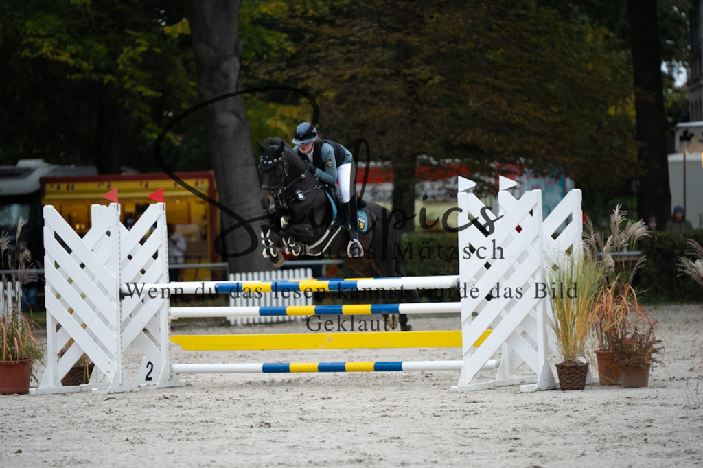 A7V08610 | Turnier/Reitfotograf