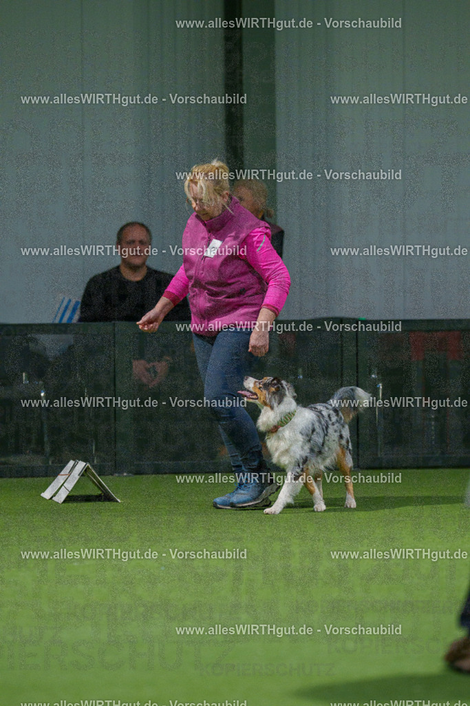 7R504097 | Professionelle Tierfotografie in Mönchengladbach von Daniel Wirth (allesWIRTHgut). Liebevolle & natürliche Bilder von Hunden & Katzen für unvergessliche Erinnerungen.