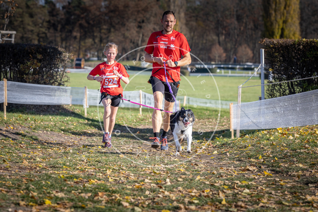 CaniXpix_DV3A8151 | Hundefotografie, Tierfotograf, Pfotenfotografie, Fotoshooting Hund, Hunde Portrait, Hundesport, Hundeportraits, Heideshooting, Hunde, Sportfotograf, Hundefotograf, Turnierhundsport, THS,  - Realisiert mit Pictrs.com