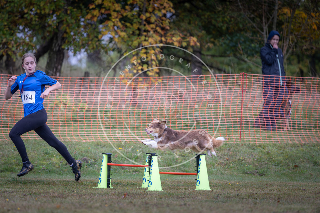 Pfotenfotografie_DV3A0412 | Hundefotografie, Tierfotograf, Pfotenfotografie, Fotoshooting Hund, Hunde Portrait, Hundesport, Hundeportraits, Heideshooting, Hunde, Sportfotograf, Hundefotograf, Turnierhundsport, THS,  - Realisiert mit Pictrs.com