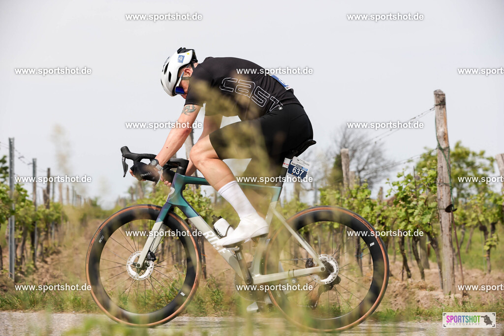 007A5287 | Neusiedler See Radmarathon 2025 #neusiedlerseeradmarathon #yourpictrs #sportshot_your_pictrs @Sportshotphotography Copyright:www.sportshot.de