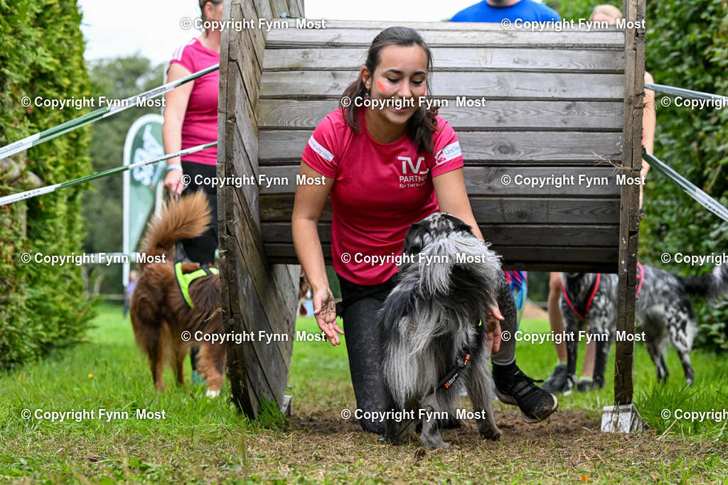 DSC_9612 | Hallo und herzlich Willkommen auf meiner Shop-Seite Fynn Most.

Ich wünsche Dir viel Spaß beim stöbern durch die Bilder, wenn Du Fragen hast oder Bilder vermisst, kannst du mir gerne eine Nachricht schreiben. - Realisiert mit Pictrs.com