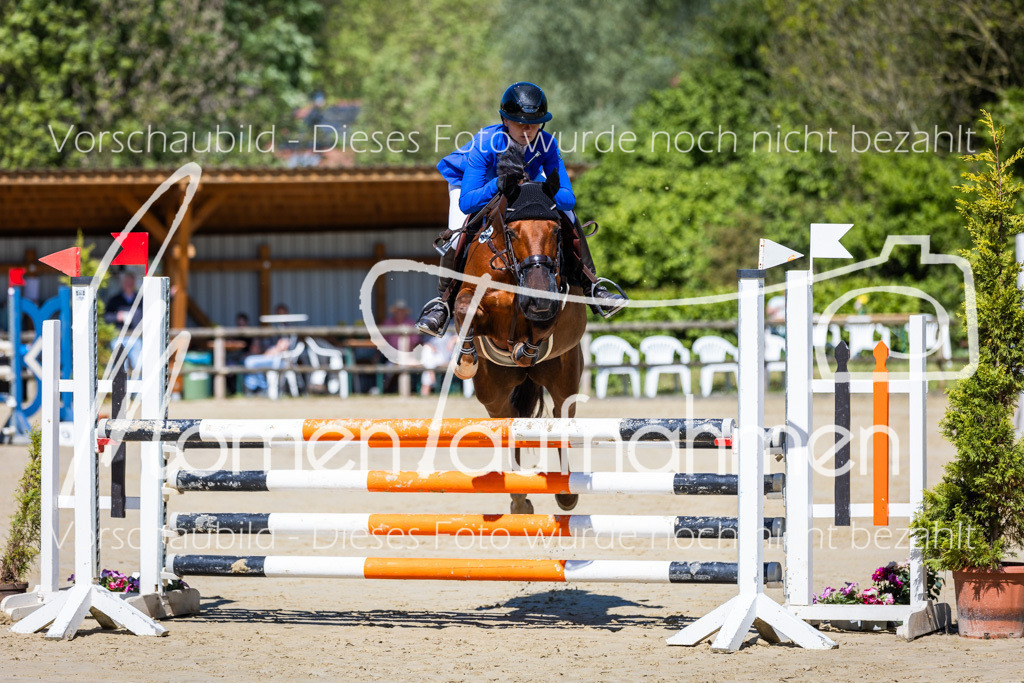 Donop24-ASprmstA-002 | MomenTaufnahmen Pferdesportfotos