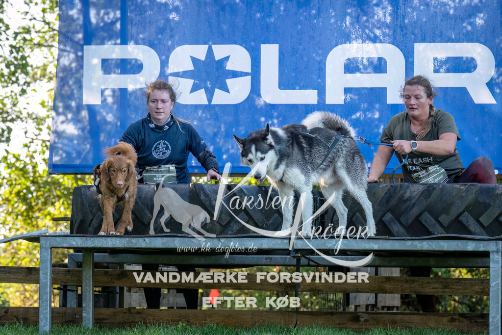 1034--2 | kk-dogfotos