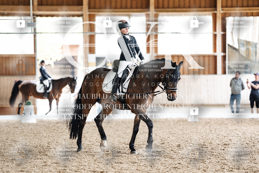 CK901616 | Turnierfotografie Pferdefotografie Trier Rheinland-Pfalz Pferdesport Reitsport Tierfotografie Sportfotografie Pferdevideo Pferdevideografie Equestrianvideography equestrianphotography  - Realisiert mit Pictrs.com