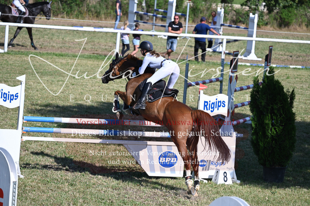 DSC_2302 | Pferde- und Turnierfotografie in Westsachsen. Pferdeportraits, Auftragszeichnungen und intuitive Kunst.