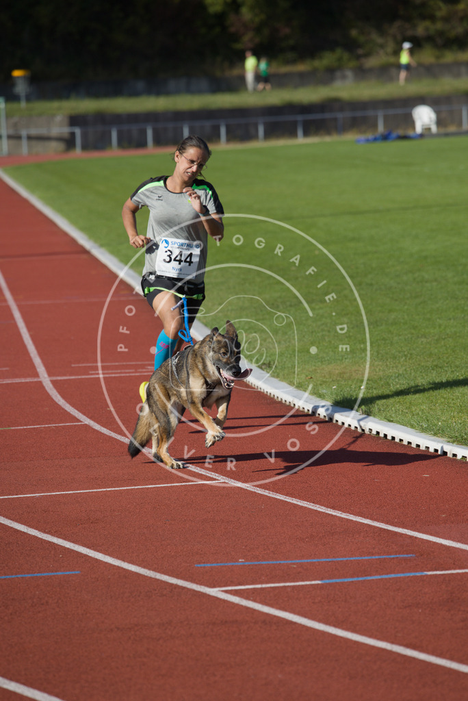 0L8A9164 | Hundefotografie, Tierfotograf, Pfotenfotografie, Fotoshooting Hund, Hunde Portrait, Hundesport, Hundeportraits, Heideshooting, Hunde, Sportfotograf, Hundefotograf, Turnierhundsport, THS,  - Realisiert mit Pictrs.com
