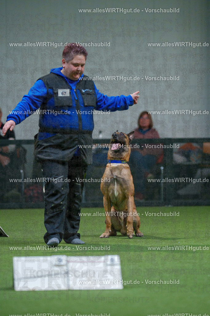 7R503728 | Professionelle Tierfotografie in Mönchengladbach von Daniel Wirth (allesWIRTHgut). Liebevolle & natürliche Bilder von Hunden & Katzen für unvergessliche Erinnerungen.