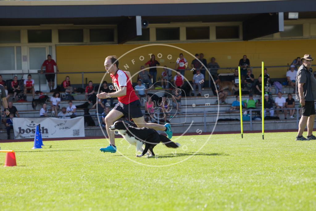 0L8A8393 | Hundefotografie, Tierfotograf, Pfotenfotografie, Fotoshooting Hund, Hunde Portrait, Hundesport, Hundeportraits, Heideshooting, Hunde, Sportfotograf, Hundefotograf, Turnierhundsport, THS,  - Realisiert mit Pictrs.com