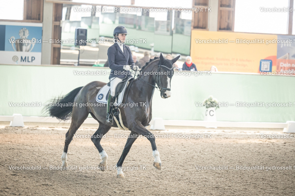 _D5A0664 | Emotionale Pferde- & People-Fotografie rund um Heidelberg, Leimen & Umgebung. Natürliche Fotos von Pferd, Mensch & Familie. Jetzt Termin sichern!