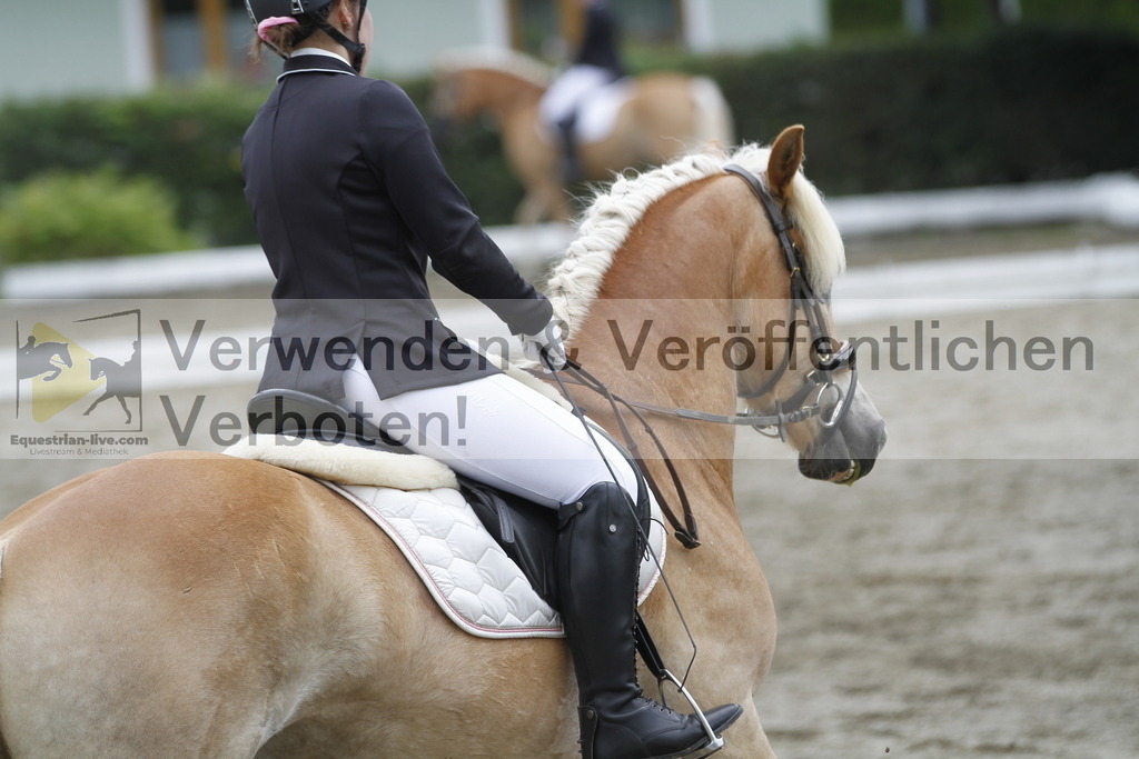 _MG_0957 | equestrian-live-com