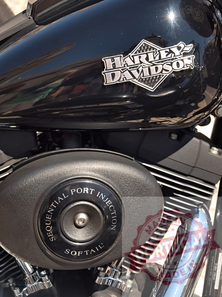 Harley-Davidson Softail motorcycle fuel tank and engine | Harley-Davidson motorcycle fuel tank showing logo and engine with Softail and Sequential Port Injection - Realisiert mit Pictrs.com