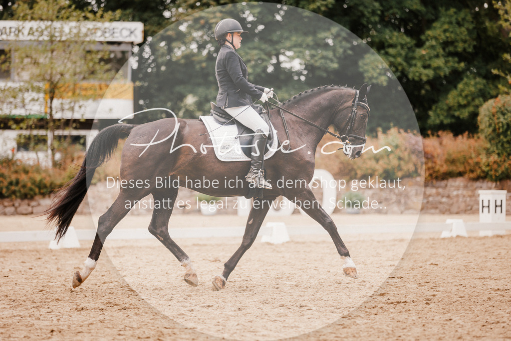 3I6A5979 | Stimmungsvolle Portraits und Reitsportfotografie im Ruhrgebiet und im Münsterland.

Pferdefotografie, Hundefotografie, Tierfotografie, Reportagen, Portraits von Tier und Mensch, Turnierfotografie in Bochum, Recklinghausen, Marl, Haltern am See, Dülmen.. - Realisiert mit Pictrs.com