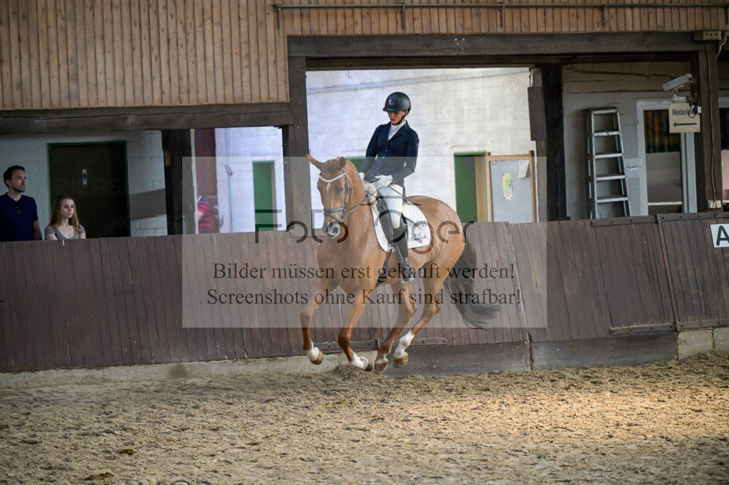 Reitturnier Voxtrup | Entdecke hochwertige Reitturnierfotos von Foto Oger. Professionell, emotional und authentisch – jetzt Lieblingsmomente im Shop bestellen.Deutschlandweite Turnierfotografie. - Realisiert mit Pictrs.com