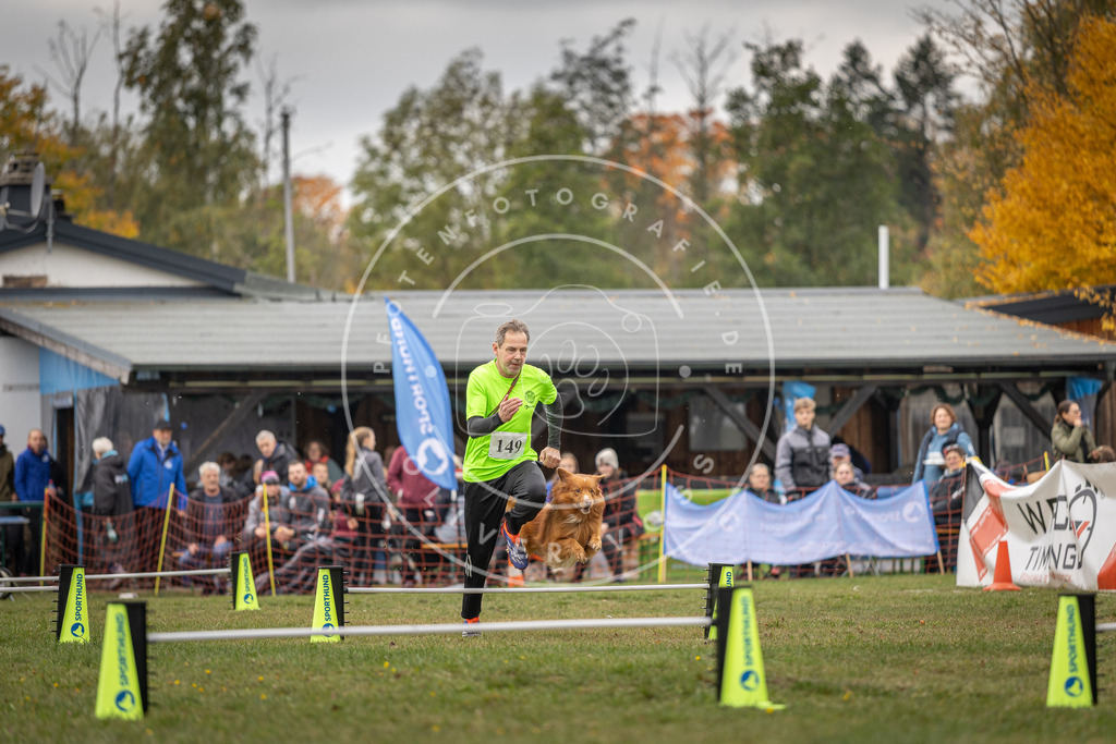 Pfotenfotografie_DV3A6073 | Hundefotografie, Tierfotograf, Pfotenfotografie, Fotoshooting Hund, Hunde Portrait, Hundesport, Hundeportraits, Heideshooting, Hunde, Sportfotograf, Hundefotograf, Turnierhundsport, THS,  - Realisiert mit Pictrs.com