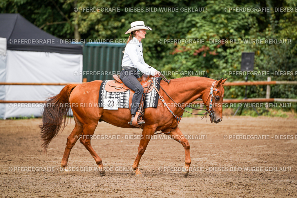 DSC06642 | Pferdegrafie