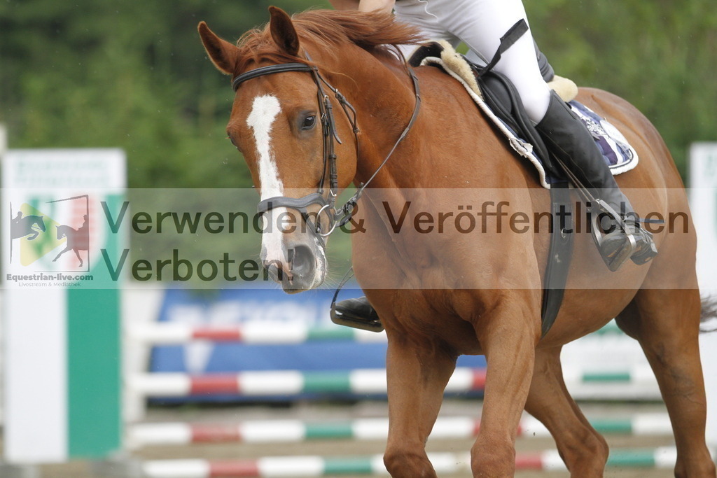 _MG_6604 | equestrian-live-com