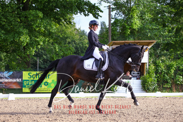 DKP41729 | Turnierfotos kaufen im Webshop von Daniel Kuhl Photography – entdecke professionelle Reitsportfotos aus Turnieren & Events. Hochwertige Turnierbilder online bestellen & sichern. Jetzt Fotos von Reitsportturnieren kaufen!