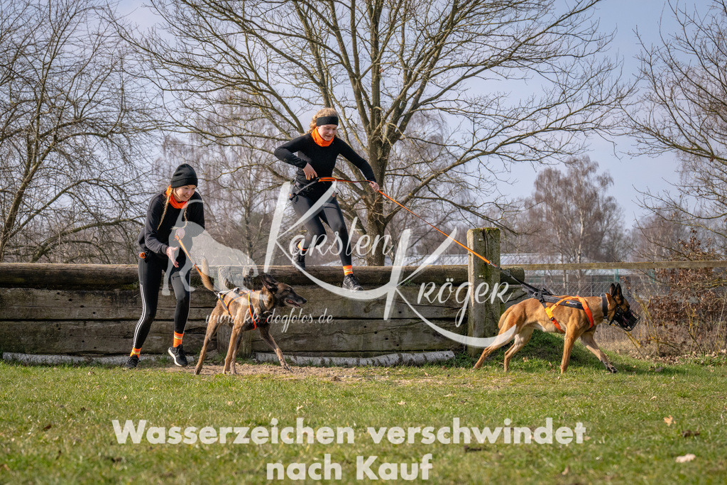 _ZZ90224 | kk-dogfotos