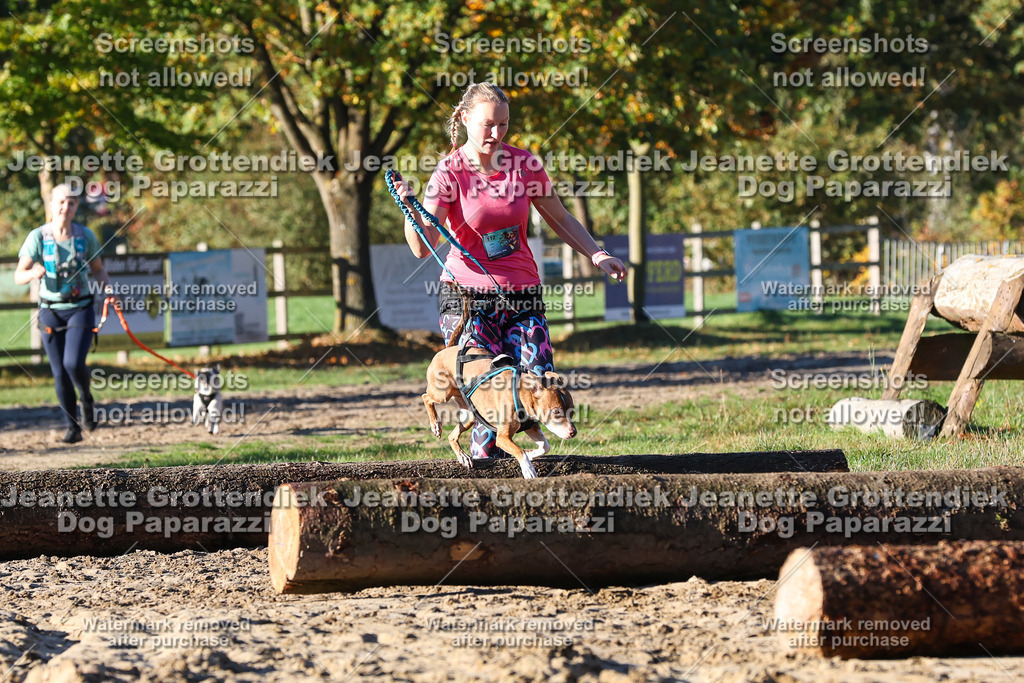 Dog Paparazzi - Strongdog 10-25-1224 | Dog Paparazzi Jeanette Grottendiek Fotografie & Videografie - Realisiert mit Pictrs.com