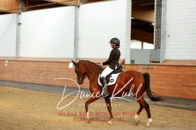 _62_7482 | Turniersportfotografie; Pferdefotografie; Dressurfotografie