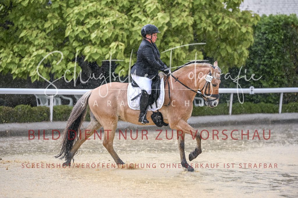 Schugtsche-Aluta25-54.Dressurprf.L1Trense-93 | Schugtsche Fotografie - Realizzato con Pictrs.com