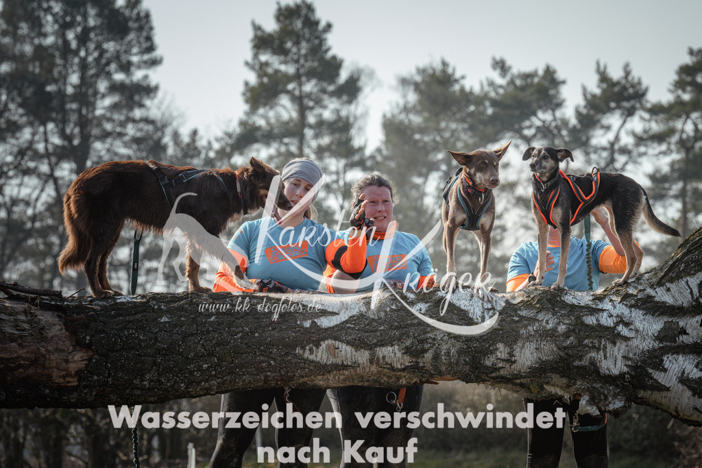 1044_ZZ93710 | kk-dogfotos