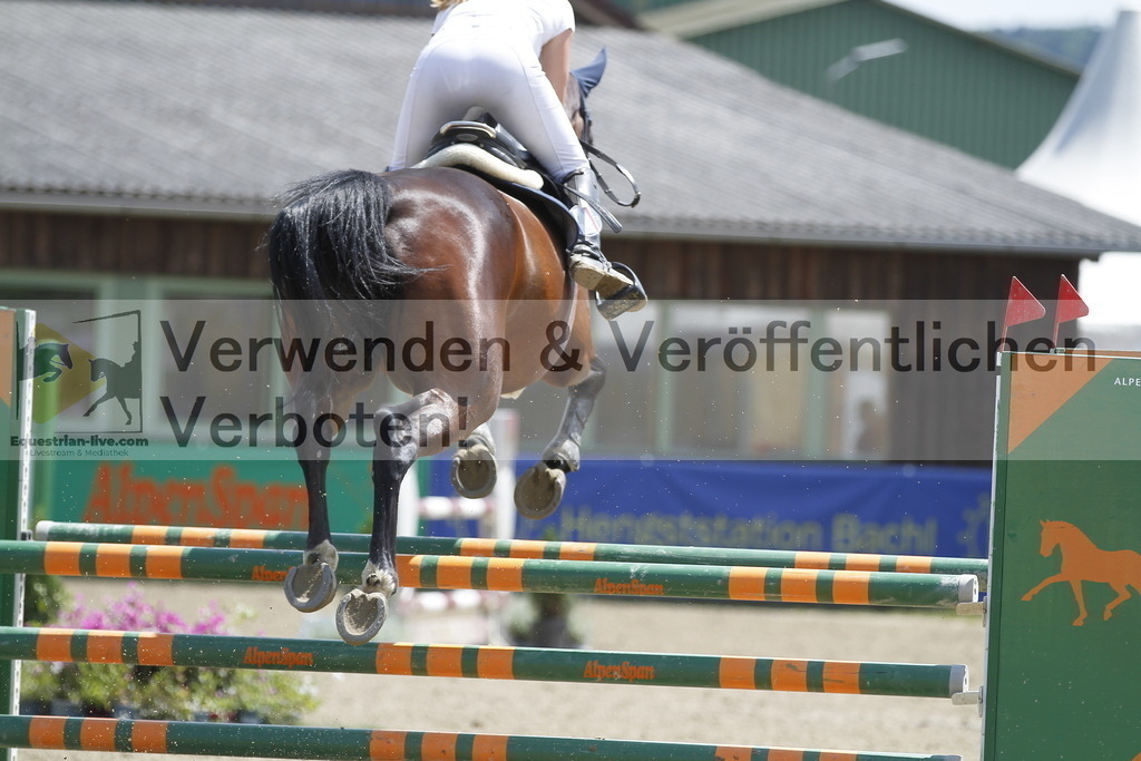 _MG_2631 | equestrian-live-com