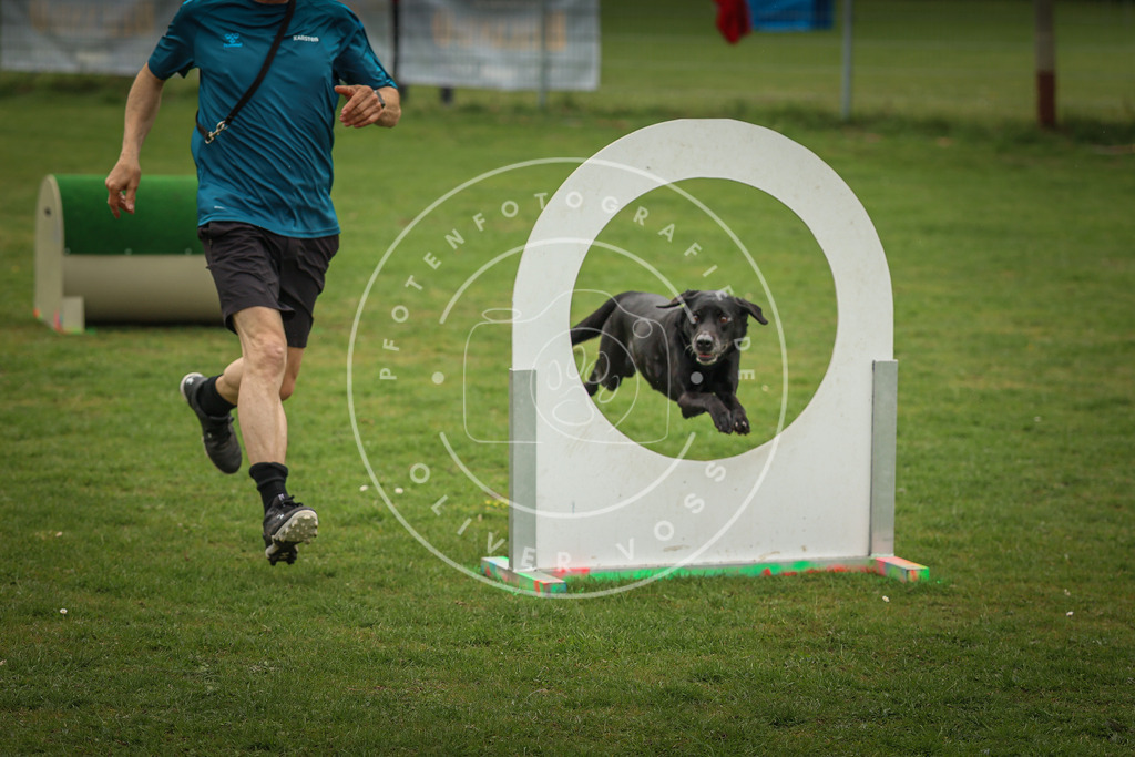 Pfotenfotografie_0L8A1537 | Hundefotografie, Tierfotograf, Pfotenfotografie, Fotoshooting Hund, Hunde Portrait, Hundesport, Hundeportraits, Heideshooting, Hunde, Sportfotograf, Hundefotograf, Turnierhundsport, THS,  - Realisiert mit Pictrs.com