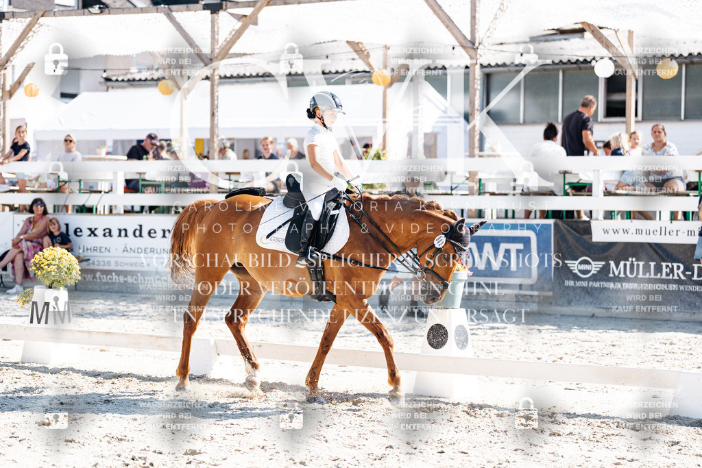 CK903236 | Turnierfotografie Pferdefotografie Trier Rheinland-Pfalz Pferdesport Reitsport Tierfotografie Sportfotografie Pferdevideo Pferdevideografie Equestrianvideography equestrianphotography  - Realisiert mit Pictrs.com
