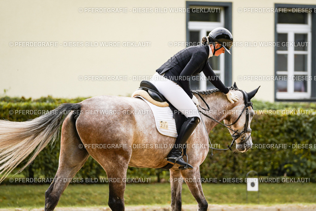 DSC01515 | Pferdegrafie