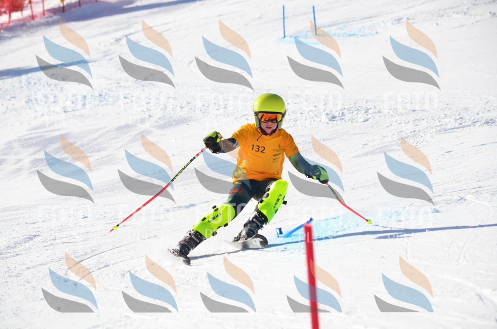 C6453 | holidayphoto