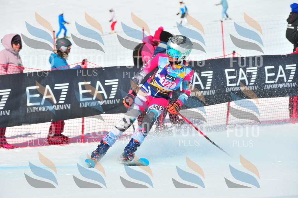 DSC_4841 | holidayphoto