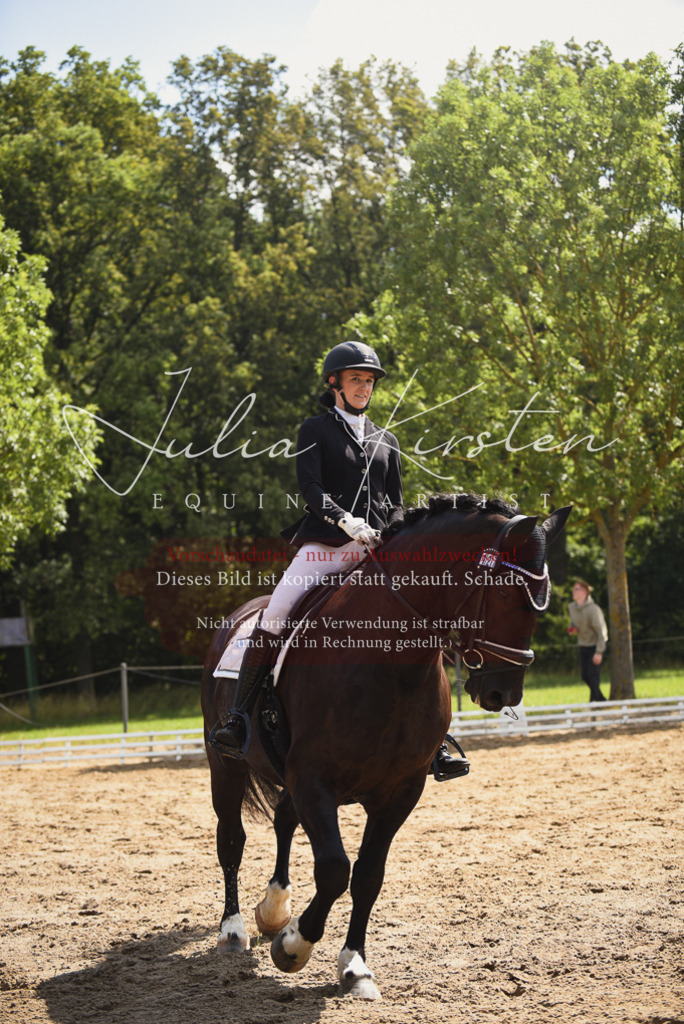 DSC_0677 | Pferde- und Turnierfotografie in Westsachsen. Pferdeportraits, Auftragszeichnungen und intuitive Kunst.