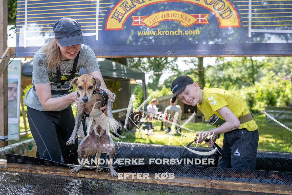 1429_ZZ94382 | kk-dogfotos