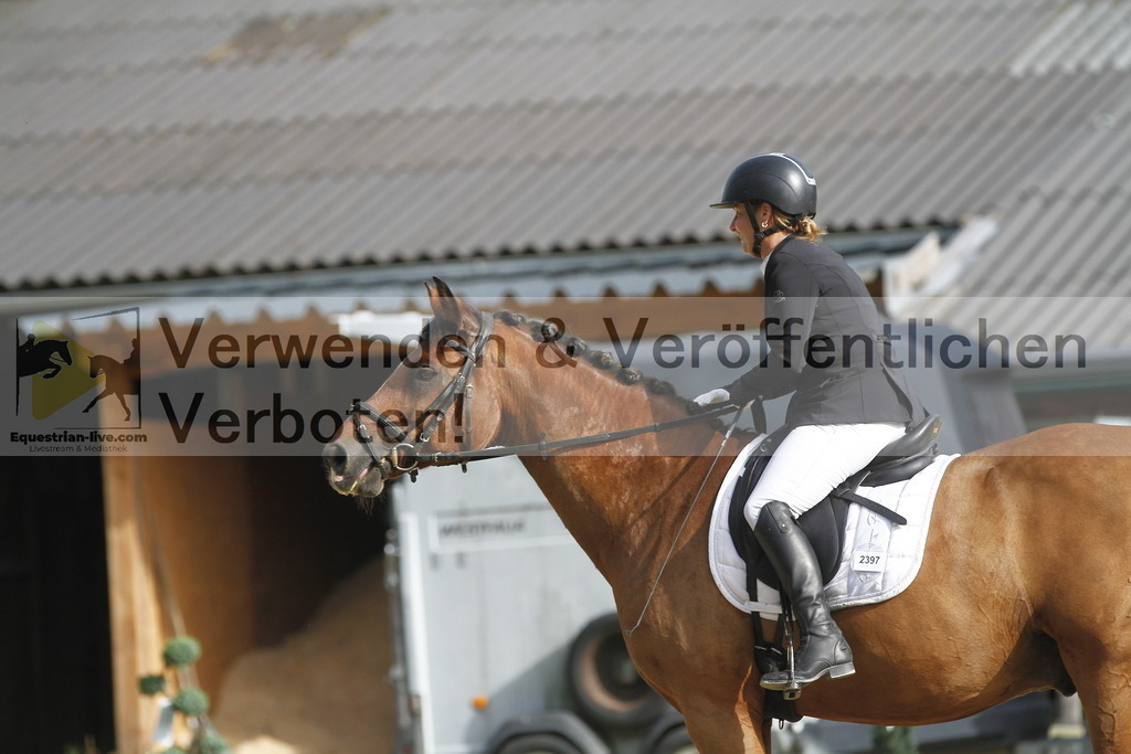 _MG_0147 | equestrian-live-com