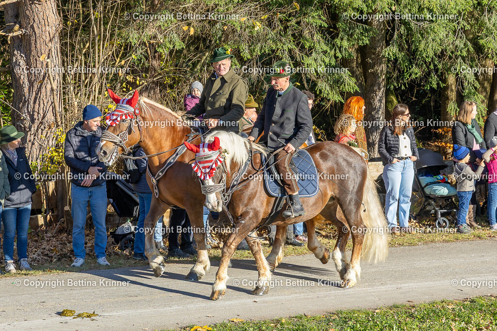 LBT25-128 | foto-bettina-krinner - Realisiert mit Pictrs.com
