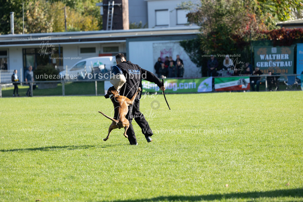 _16A5011 | Einzigartige Fotos von Hunden & Menschen –Actionfotos, Portraits, Vereinsaufnahmen & Paarshootings – authentisch, lebendig & mit Herz.