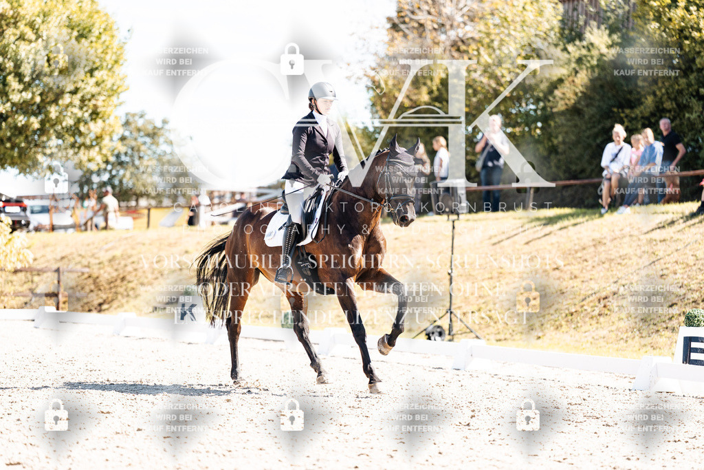 CK909763 | Turnierfotografie Pferdefotografie Trier Rheinland-Pfalz Pferdesport Reitsport Tierfotografie Sportfotografie Pferdevideo Pferdevideografie Equestrianvideography equestrianphotography  - Realisiert mit Pictrs.com