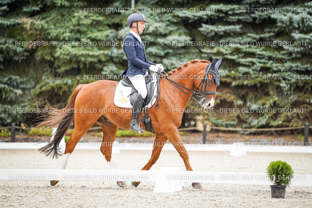 DSC08336 | Pferdegrafie