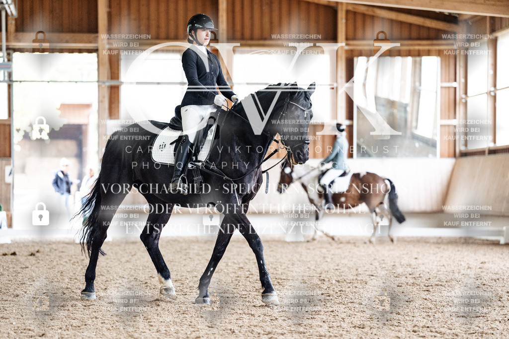 CK901007 | Turnierfotografie Pferdefotografie Trier Rheinland-Pfalz Pferdesport Reitsport Tierfotografie Sportfotografie Pferdevideo Pferdevideografie Equestrianvideography equestrianphotography  - Realisiert mit Pictrs.com