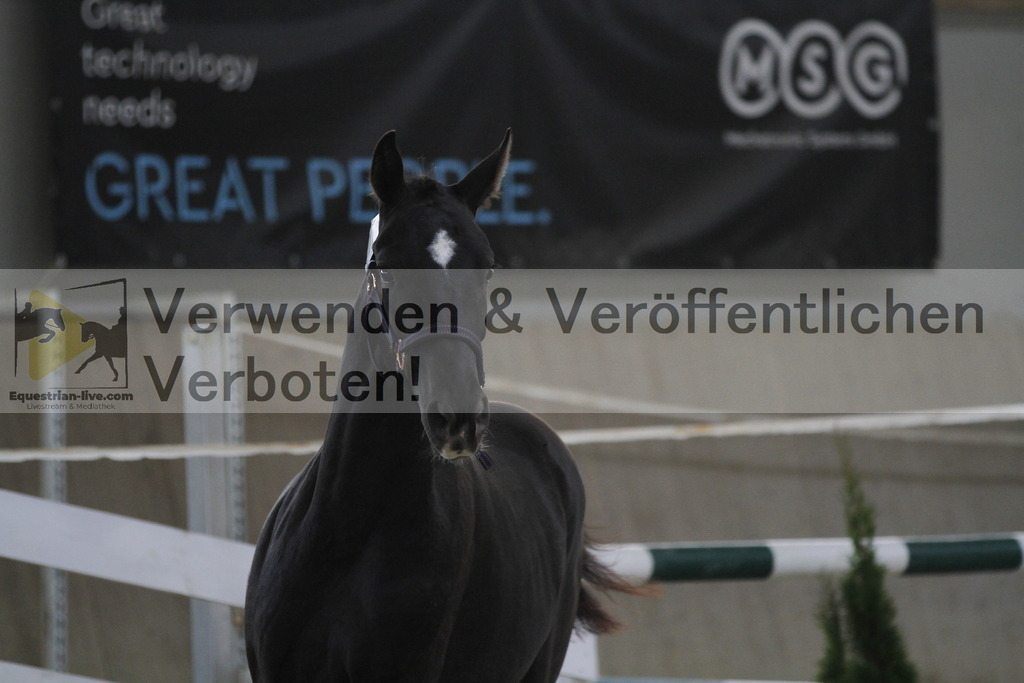 _MG_9374 | equestrian-live-com
