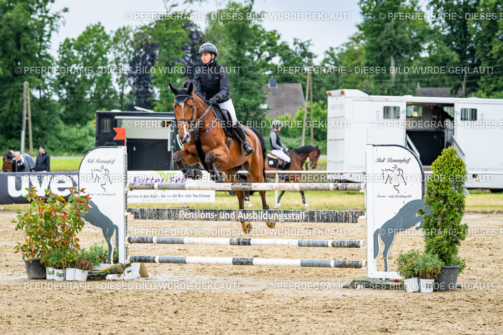 DSC04323 | Pferdegrafie