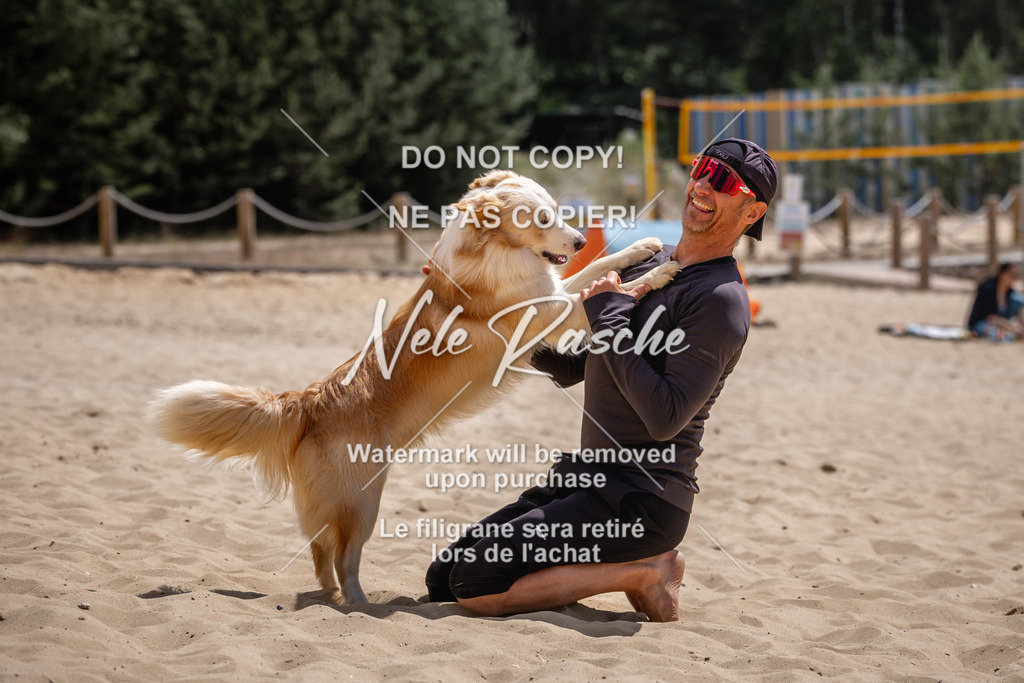 NR__2658 | nelerasche
